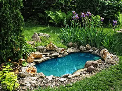 Koi Ponds/Water Features