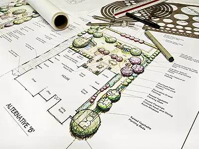 Landscape Design